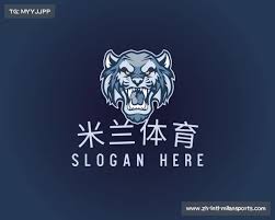 米兰体育·「中国」官方网站-AC MI LAN SPORTS